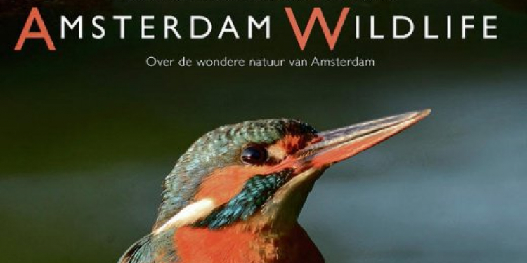 Filmavond Amsterdam Wildlife+Martin Melchers