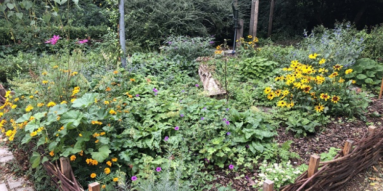 Hunzestraat boomtuinen en Miep Gies Plantsoen