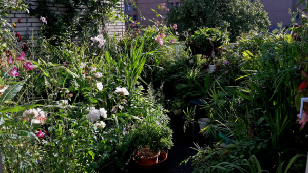 Een tuin op je balkon Natuur&amp;Milieuteam Zuid Natuur&amp;Milieuteam Zuid